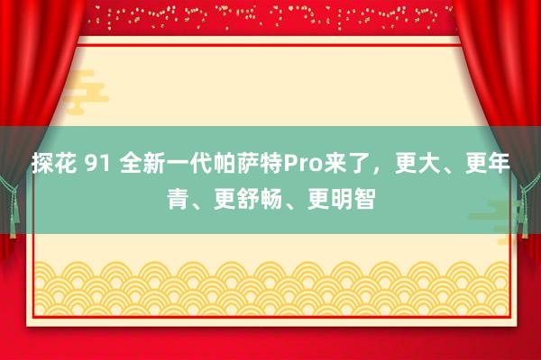 探花 91 全新一代帕萨特Pro来了，更大、更年青、更舒畅、更明智