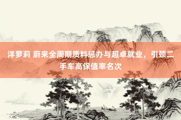 洋萝莉 蔚来全周期质料惩办与超卓就业，引颈二手车高保值率名次