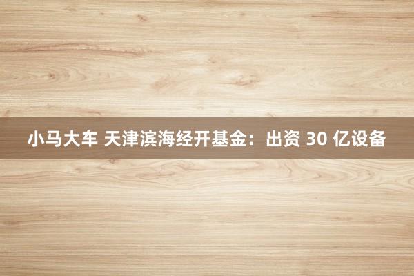 小马大车 天津滨海经开基金：出资 30 亿设备