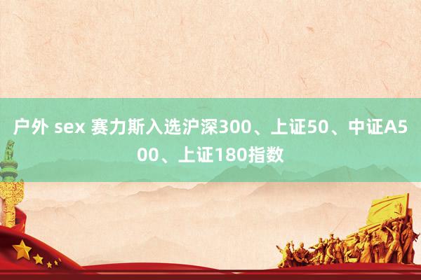 户外 sex 赛力斯入选沪深300、上证50、中证A500、上证180指数