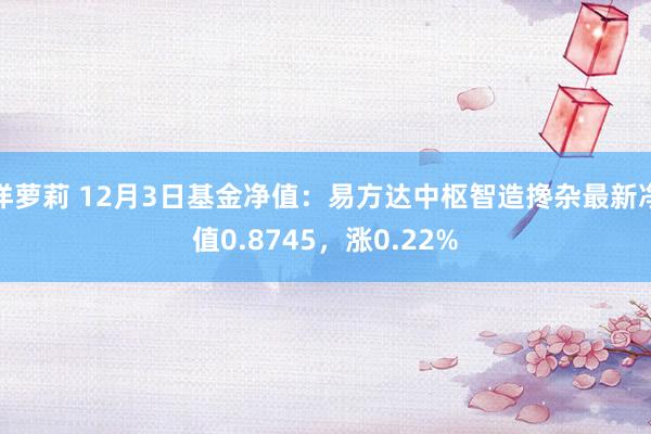 洋萝莉 12月3日基金净值：易方达中枢智造搀杂最新净值0.8745，涨0.22%