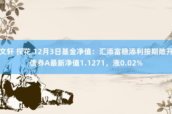 文轩 探花 12月3日基金净值：汇添富稳添利按期敞开债券A最新净值1.1271，涨0.02%