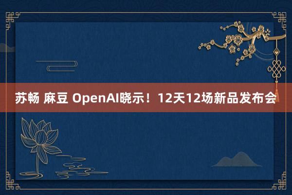 苏畅 麻豆 OpenAI晓示！12天12场新品发布会
