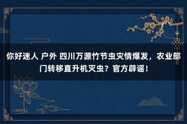 你好迷人 户外 四川万源竹节虫灾情爆发，农业部门转移直升机灭虫？官方辟谣！