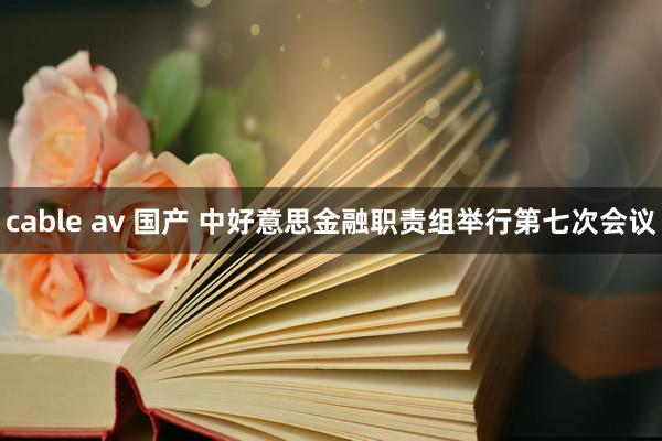 cable av 国产 中好意思金融职责组举行第七次会议