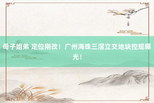 母子姐弟 定位刚改！广州海珠三滘立交地块控规曝光！