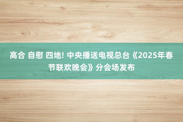 高合 自慰 四地! 中央播送电视总台《2025年春节联欢晚会》分会场发布