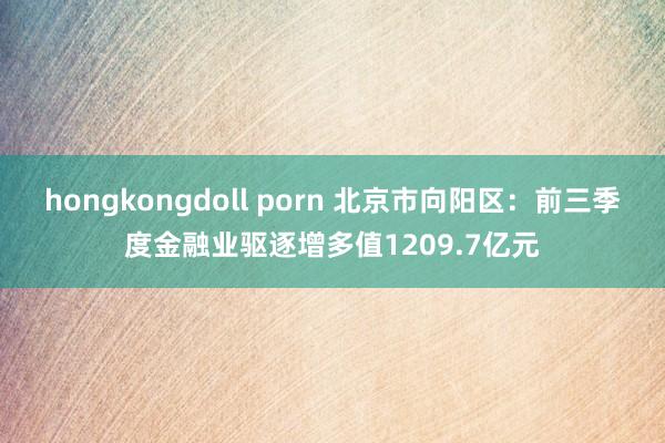 hongkongdoll porn 北京市向阳区：前三季度金融业驱逐增多值1209.7亿元