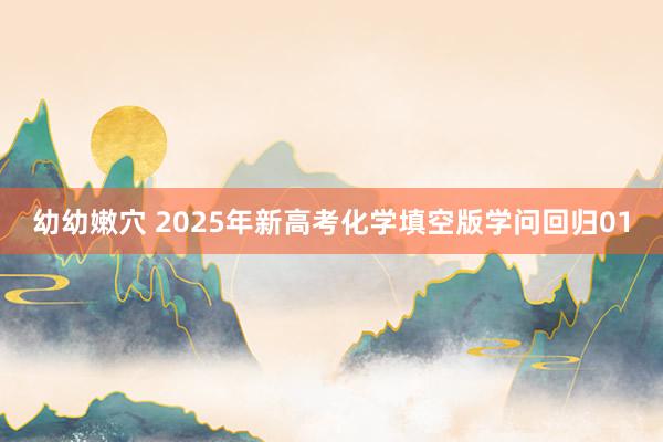 幼幼嫩穴 2025年新高考化学填空版学问回归01