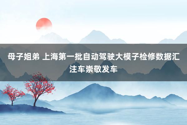 母子姐弟 上海第一批自动驾驶大模子检修数据汇注车崇敬发车