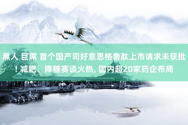 黑人 巨屌 首个国产司好意思格鲁肽上市请求未获批! 减肥、降糖赛谈火热， 国内超20家药企布局