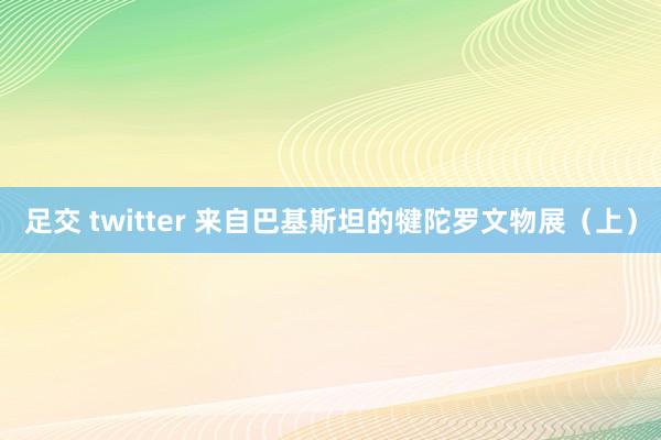 足交 twitter 来自巴基斯坦的犍陀罗文物展（上）