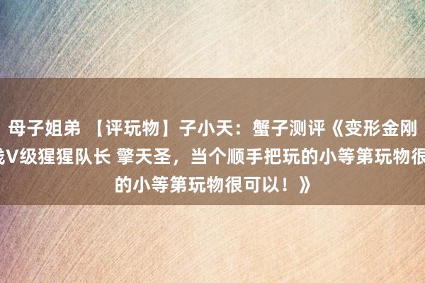母子姐弟 【评玩物】子小天：蟹子测评《变形金刚 变7 干线V级猩猩队长 擎天圣，当个顺手把玩的小等第玩物很可以！》