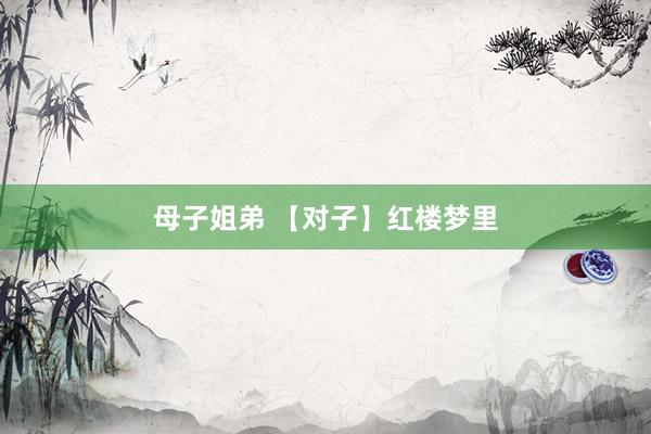 母子姐弟 【对子】红楼梦里