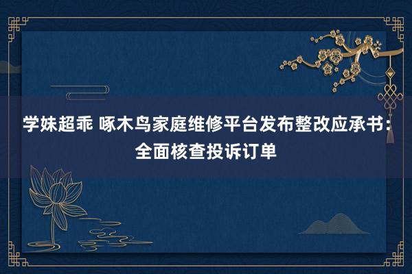 学妹超乖 啄木鸟家庭维修平台发布整改应承书：全面核查投诉订单
