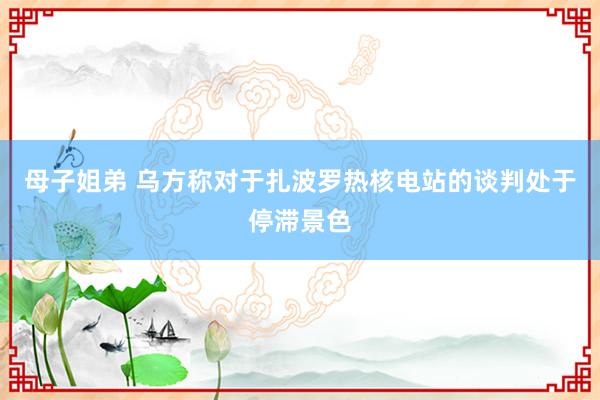 母子姐弟 乌方称对于扎波罗热核电站的谈判处于停滞景色