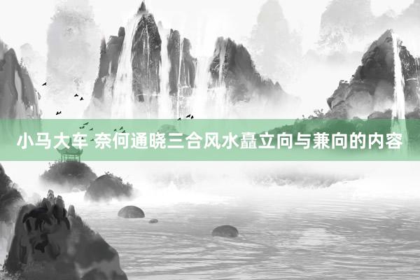 小马大车 奈何通晓三合风水矗立向与兼向的内容