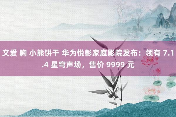 文爱 胸 小熊饼干 华为悦彰家庭影院发布：领有 7.1.4 星穹声场，售价 9999 元