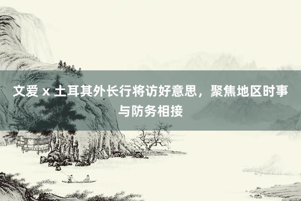 文爱 x 土耳其外长行将访好意思，聚焦地区时事与防务相接