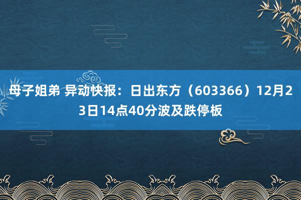 母子姐弟 异动快报：日出东方（603366）12月23日14点40分波及跌停板