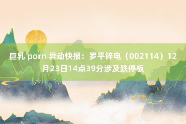 巨乳 porn 异动快报：罗平锌电（002114）12月23日14点39分涉及跌停板