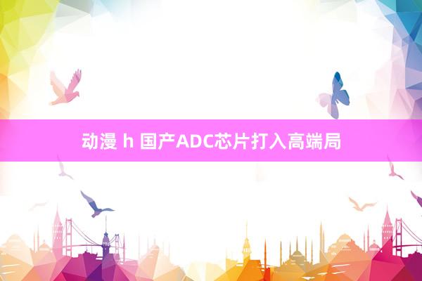 动漫 h 国产ADC芯片打入高端局