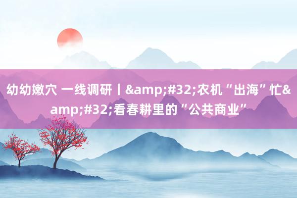 幼幼嫩穴 一线调研丨&#32;农机“出海”忙&#32;看春耕里的“公共商业”