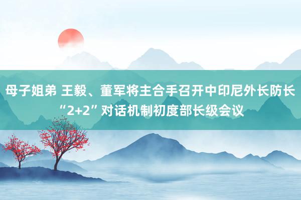 母子姐弟 王毅、董军将主合手召开中印尼外长防长“2+2”对话机制初度部长级会议