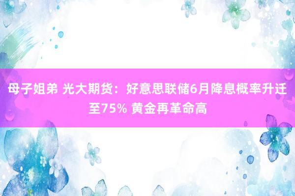 母子姐弟 光大期货：好意思联储6月降息概率升迁至75% 黄金再革命高