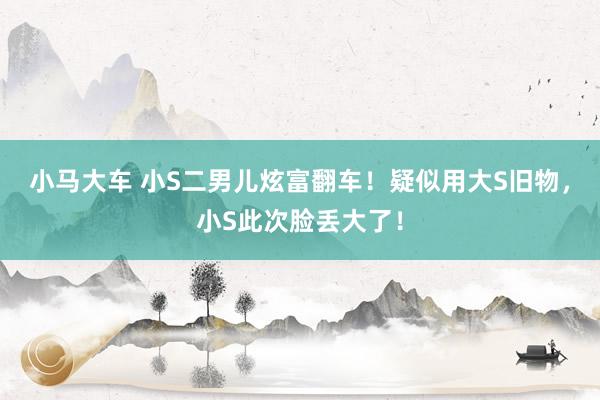 小马大车 小S二男儿炫富翻车！疑似用大S旧物，小S此次脸丢大了！