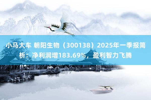 小马大车 朝阳生物（300138）2025年一季报简析：净利润增183.69%，盈利智力飞腾